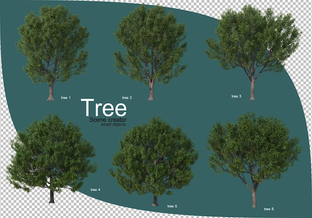 Variedade de árvores em renderização 3D
