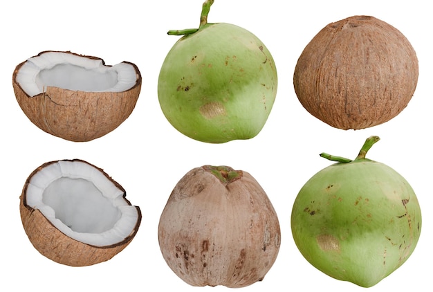 Variedade de cocos inteiros e verdes