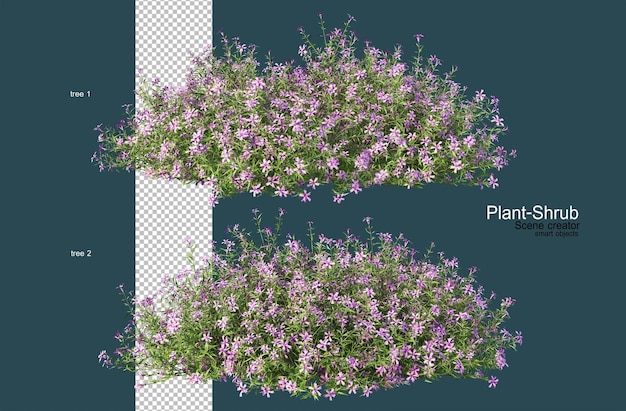 Variedade de flores e arbustos