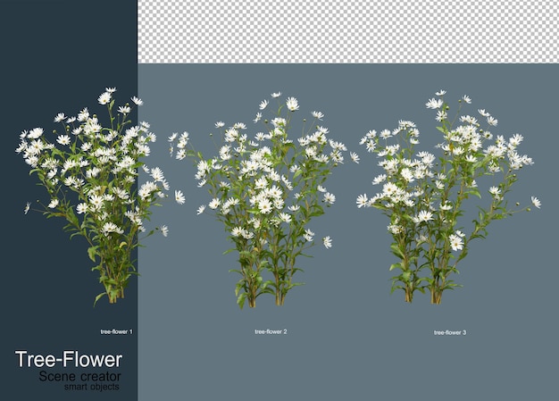 Variedade de flores e árvores
