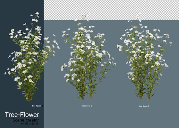 Variedade de flores e árvores