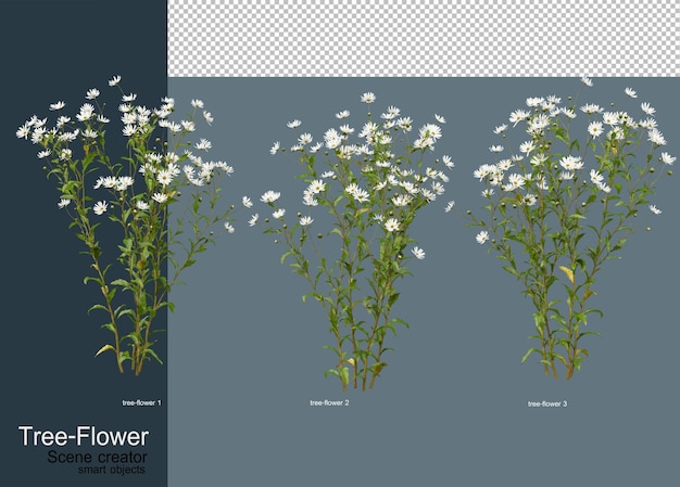 Variedade de flores e árvores