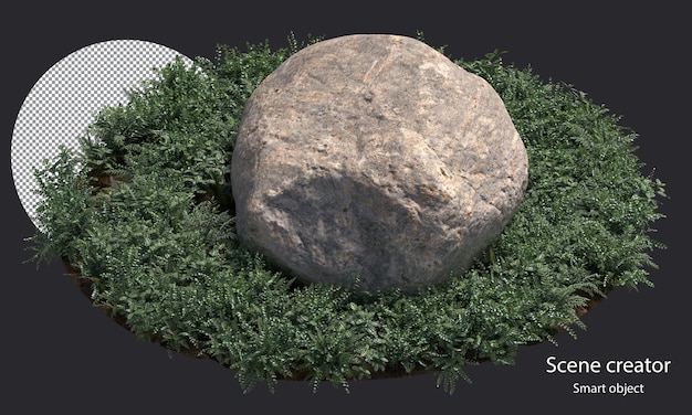 variedade de rocha cercada por pequenas plantas isoladas de pedra e pequeno traçado de recorte de plantas