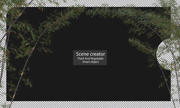 PSD variedades de plantas de bambu isoladas trajeto de recorte de bambu