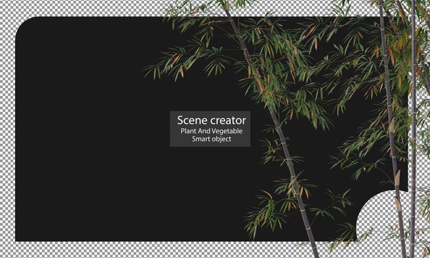 PSD variedades de plantas de bambú aisladas trazado de recorte de bambú