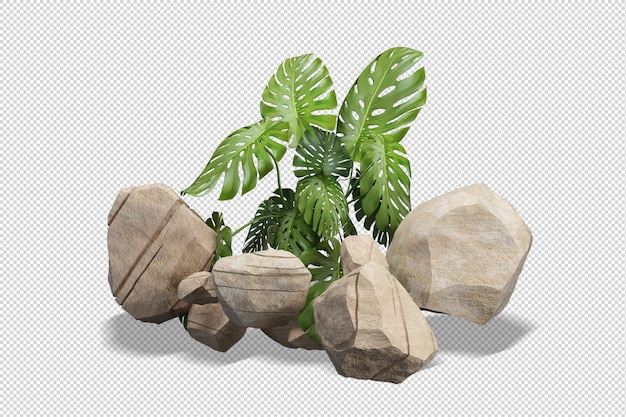 Variedades de rocas en el jardín de arbustos.