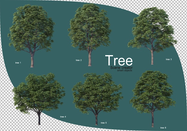 Varietà di alberi nel rendering 3d