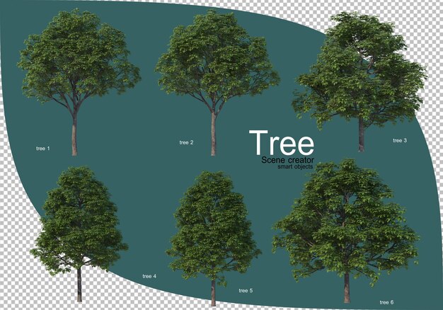 Varietà di alberi nel rendering 3d