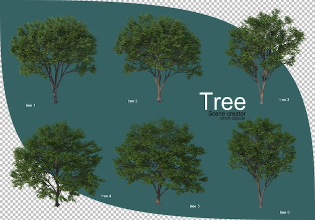 Varietà di alberi nel rendering 3d