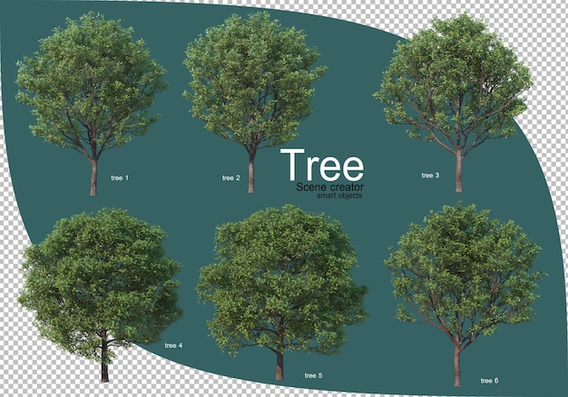 Varietà di alberi nel rendering 3d