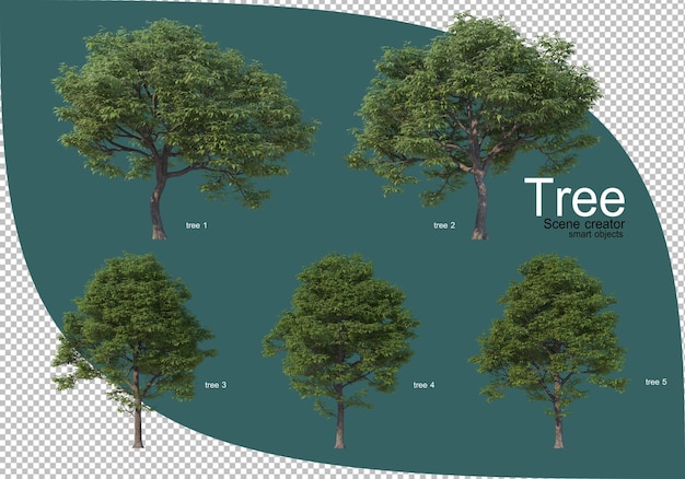 Varietà di alberi nel rendering 3d