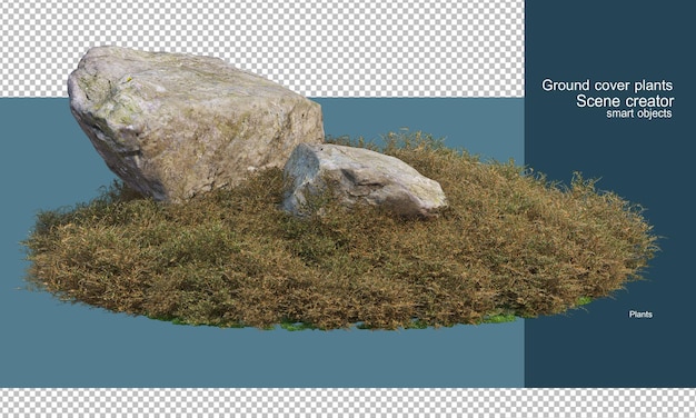 Varietà di rocce nel giardino arbustivo