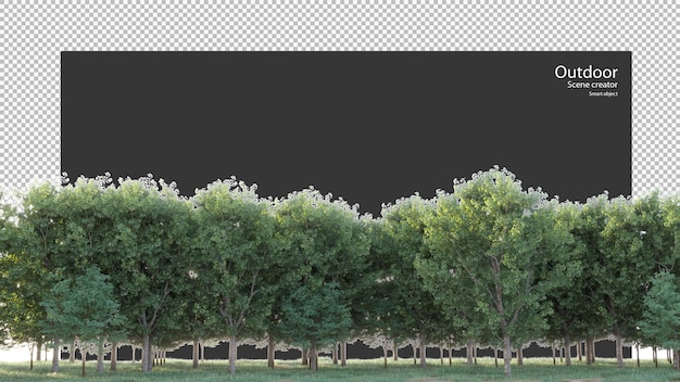 Variété D'arbres Et D'herbe En Rendu 3d