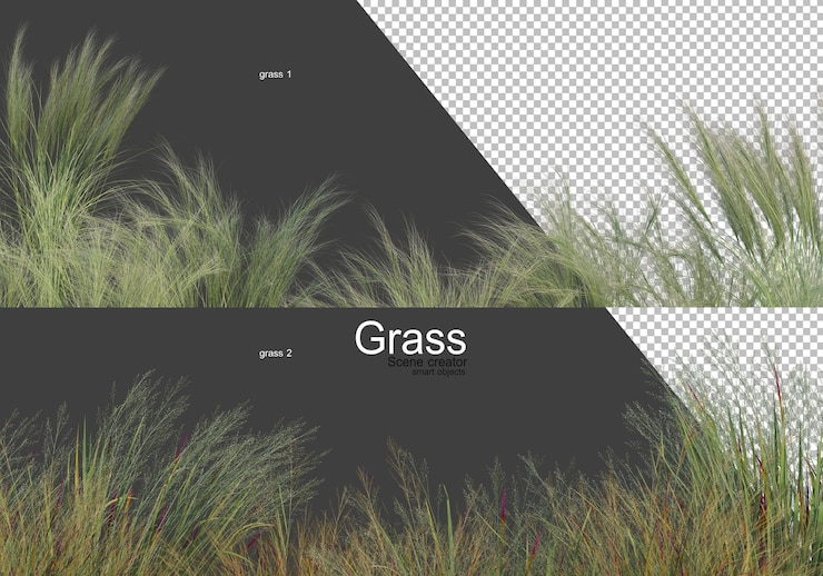 PSD variété d'arbres et d'herbe
