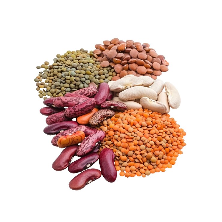 PSD une variété de légumineuses et de haricots