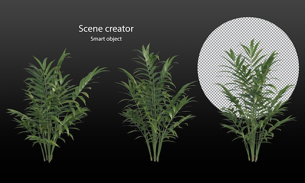 PSD variété de petites plantes et d'arbres isolés chemin de détourage de petites plantes