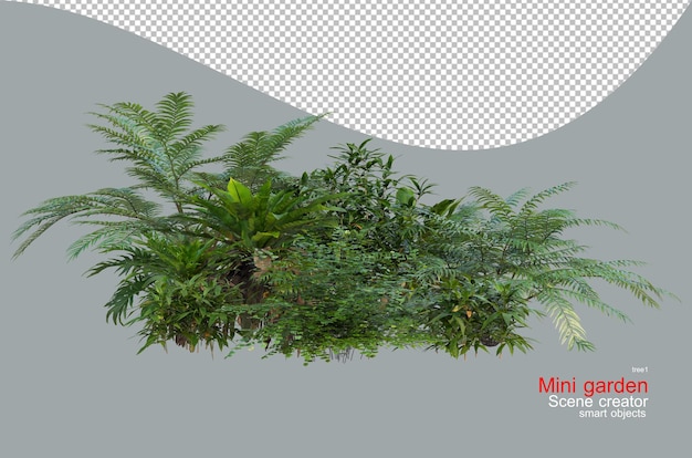 Une variété de plantes tropicales