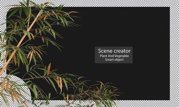 PSD variétés de plantes de bambou isolées tracé de détourage en bambou