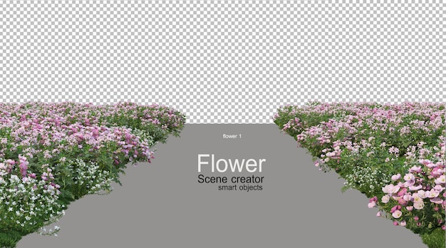 Varios colores de flores
