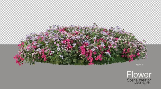 PSD varios colores de flores