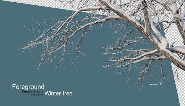 PSD varios diseño de árboles de invierno aislado