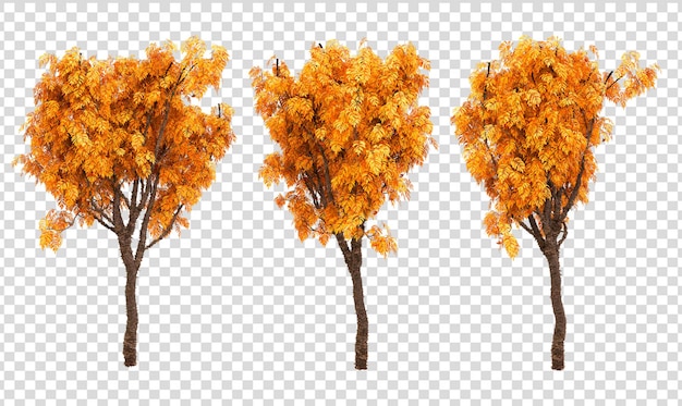 Varios hermosos árboles amarillos de otoño en 3d rendering