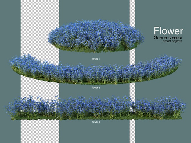 varios jardines de flores