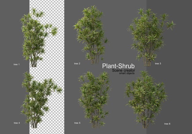 varios tipos de árboles decorativos