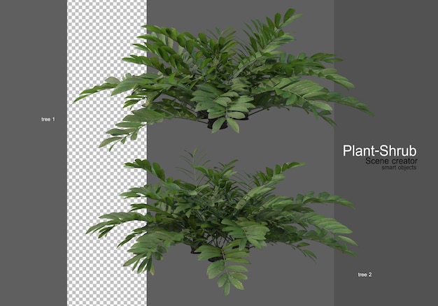 varios tipos de árboles decorativos