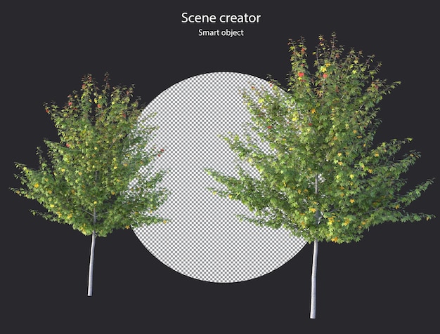Varios tipos de árboles, plantas, arbustos, arbustos y plantas pequeñas, renderizado aislado
