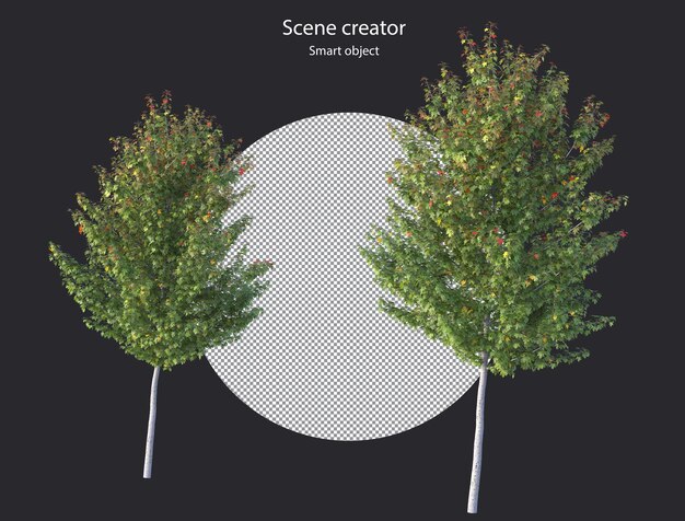 Varios tipos de árboles, plantas, arbustos, arbustos y plantas pequeñas, renderizado aislado