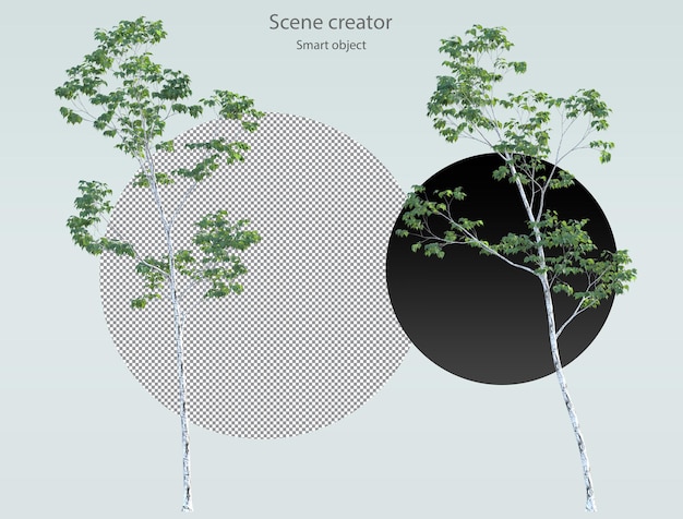 Varios tipos de árboles, plantas, arbustos, arbustos y plantas pequeñas, renderizado aislado