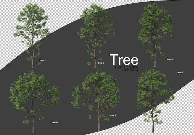 Varios tipos de árboles renderizado aislado
