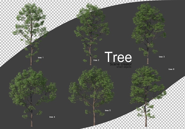 PSD varios tipos de árboles renderizado aislado