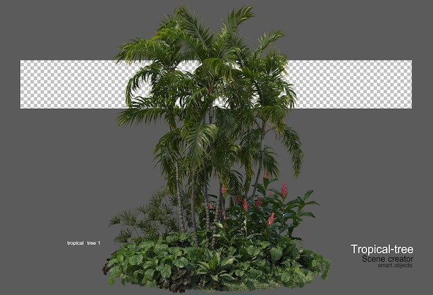 varios tipos de árboles tropicales.