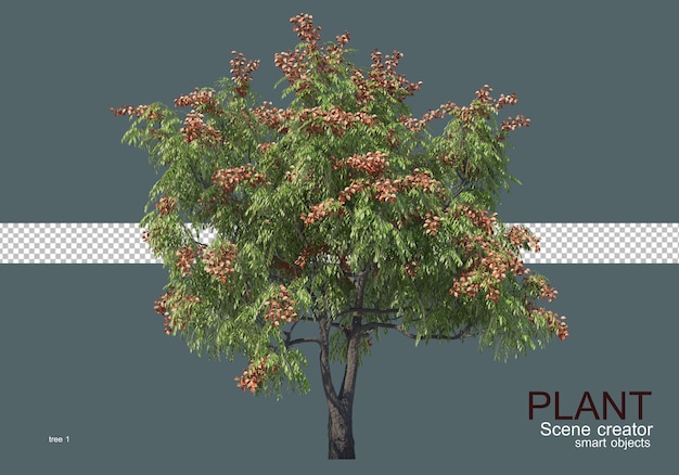 PSD varios tipos de árboles