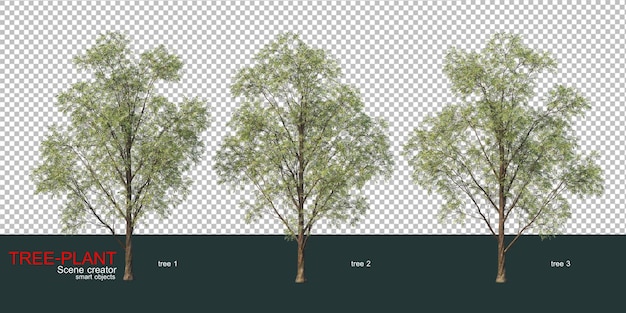 Varios tipos de arboles