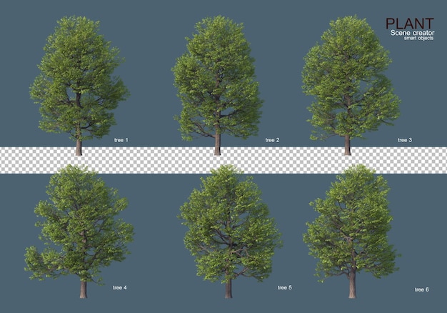 Varios tipos de arboles