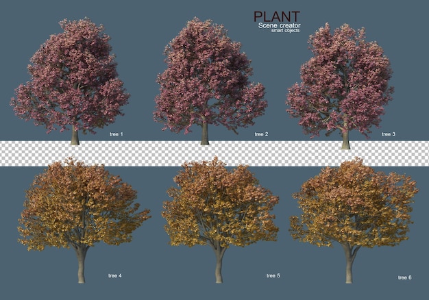 Varios tipos de arboles