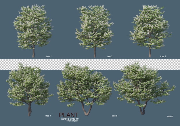 Varios tipos de arboles