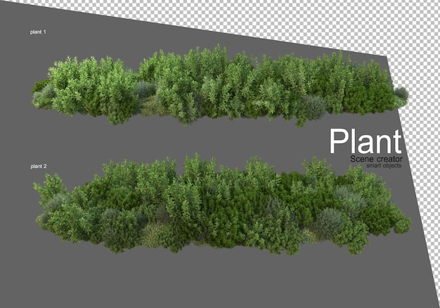 Varios tipos de arbustos renderizado aislado