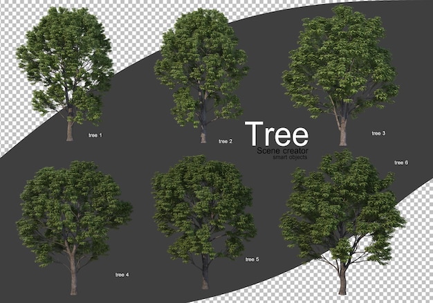 Vários tipos de árvores renderizadas isoladas