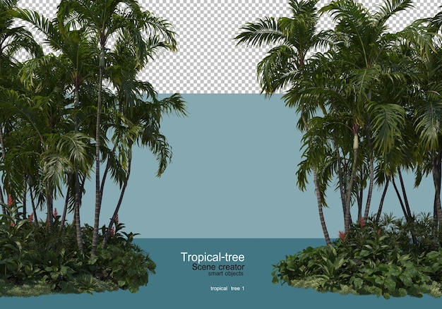 vários tipos de árvores tropicais