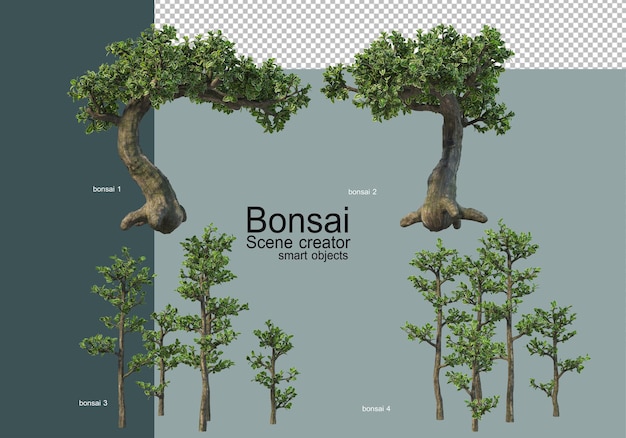 Vários tipos de bonsai