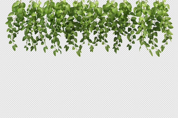 Vários tipos de flores bonitas em renderização 3d isoladas