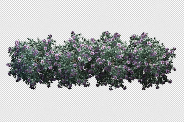 Vários tipos de flores bonitas em renderização 3d isoladas