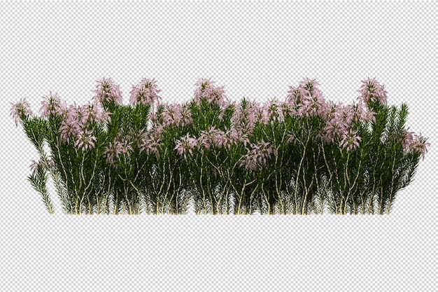 Vários tipos de flores bonitas em renderização 3d isoladas