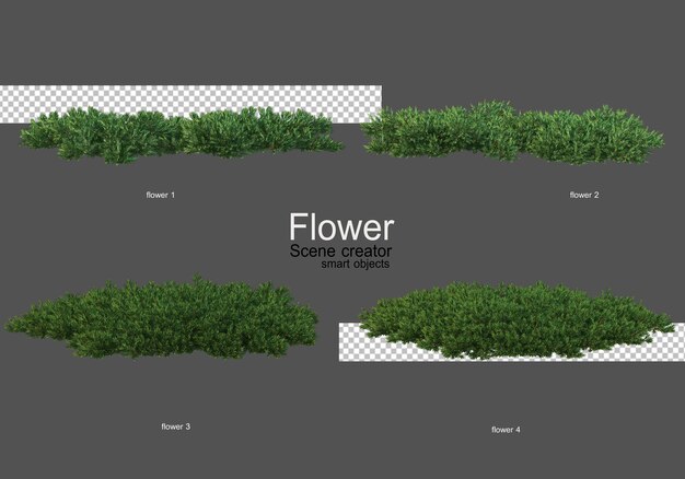 vários tipos de flores, estilos diferentes