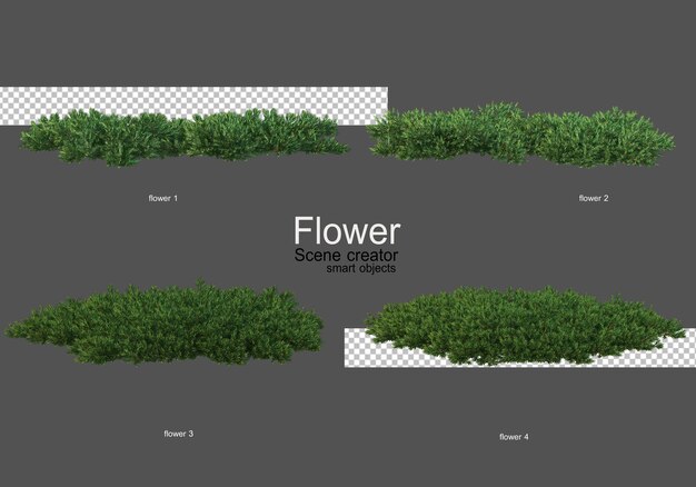 Vários tipos de flores, estilos diferentes