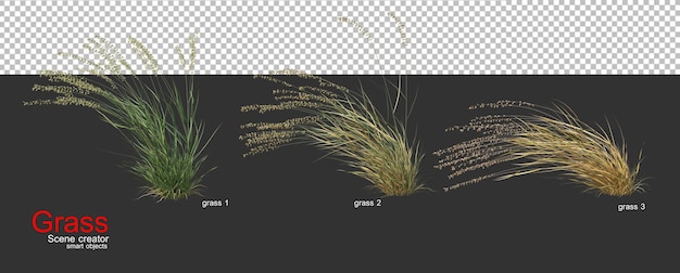 PSD vários tipos de grama